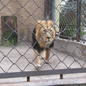 Trip to Ostrava ZOO Trip to Ostrava ZOO