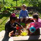 Gardening colony experience visitation of children!