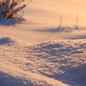 Winter shake aneb zimní spánek není pro nás Winter shake aneb zimní spánek není pro nás
