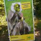 Jak jsme byli v ZOO Jak jsme byli v ZOO